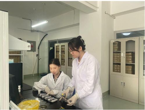 小巨人蘊含大能量 恒升醫學以科技創新賦能生物醫療產業高質量發展